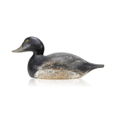Hayes Bluebill Drake Decoy, Sporting Goods, Hunting, Waterfowl Decoy