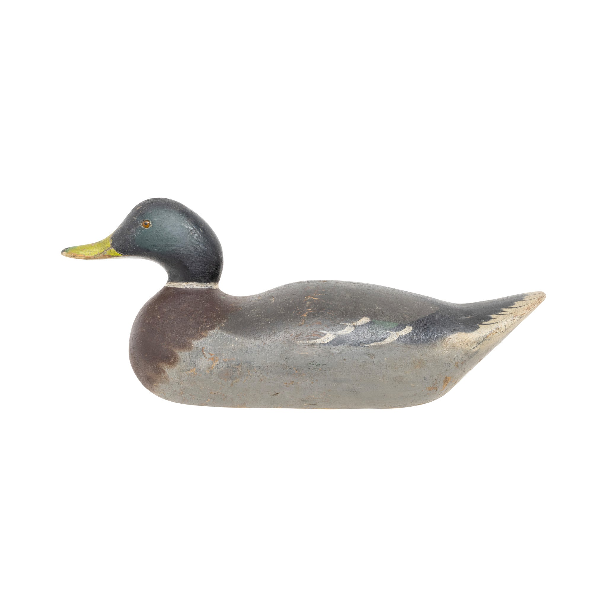 Mason Mallard Drake