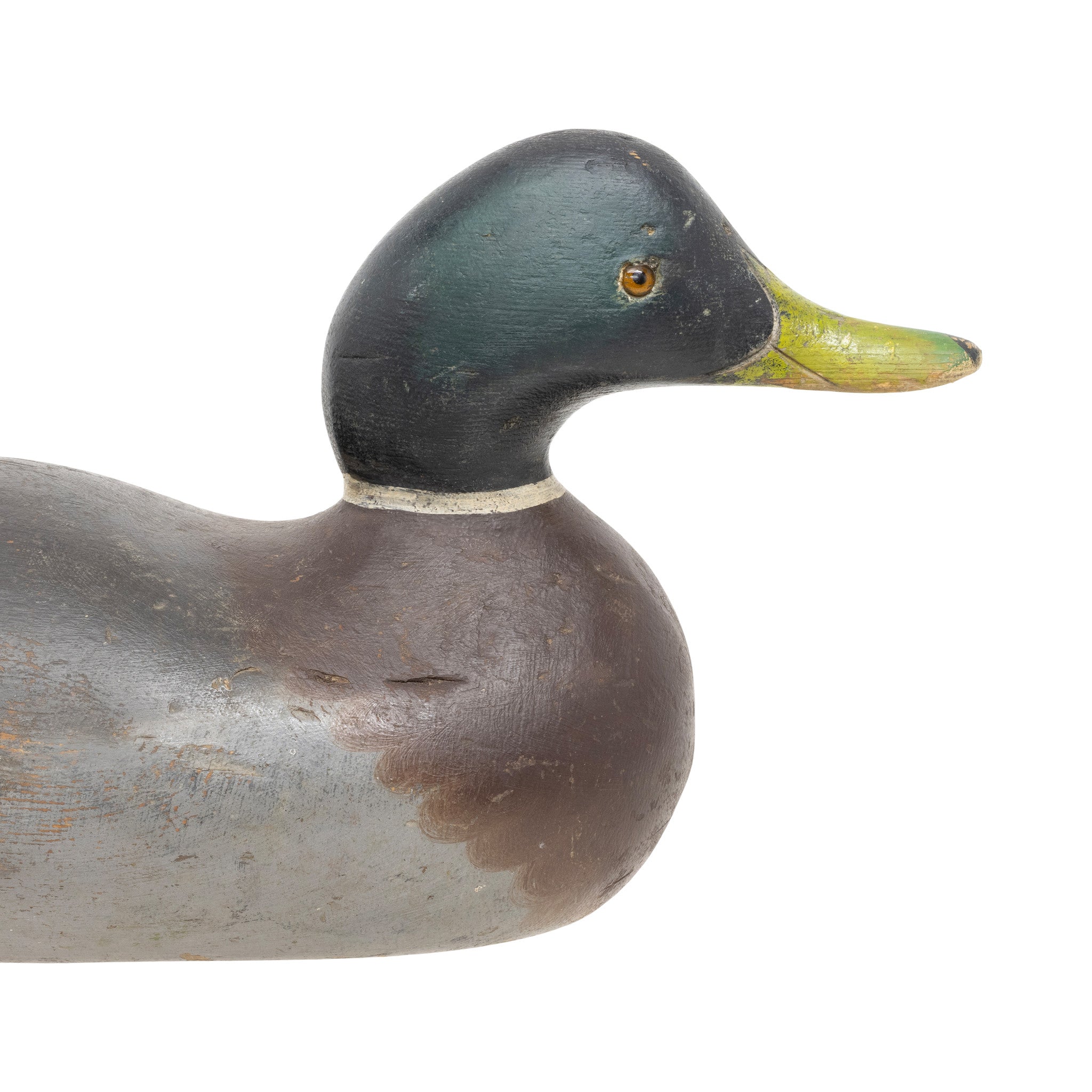 Mason Mallard Drake