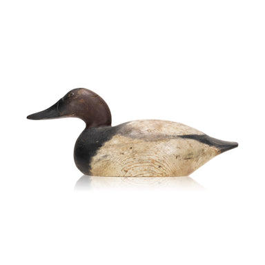 Mason Canvasback Drake Decoy, Sporting Goods, Hunting, Waterfowl Decoy