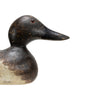 Hayes Canvasback Hen Decoy