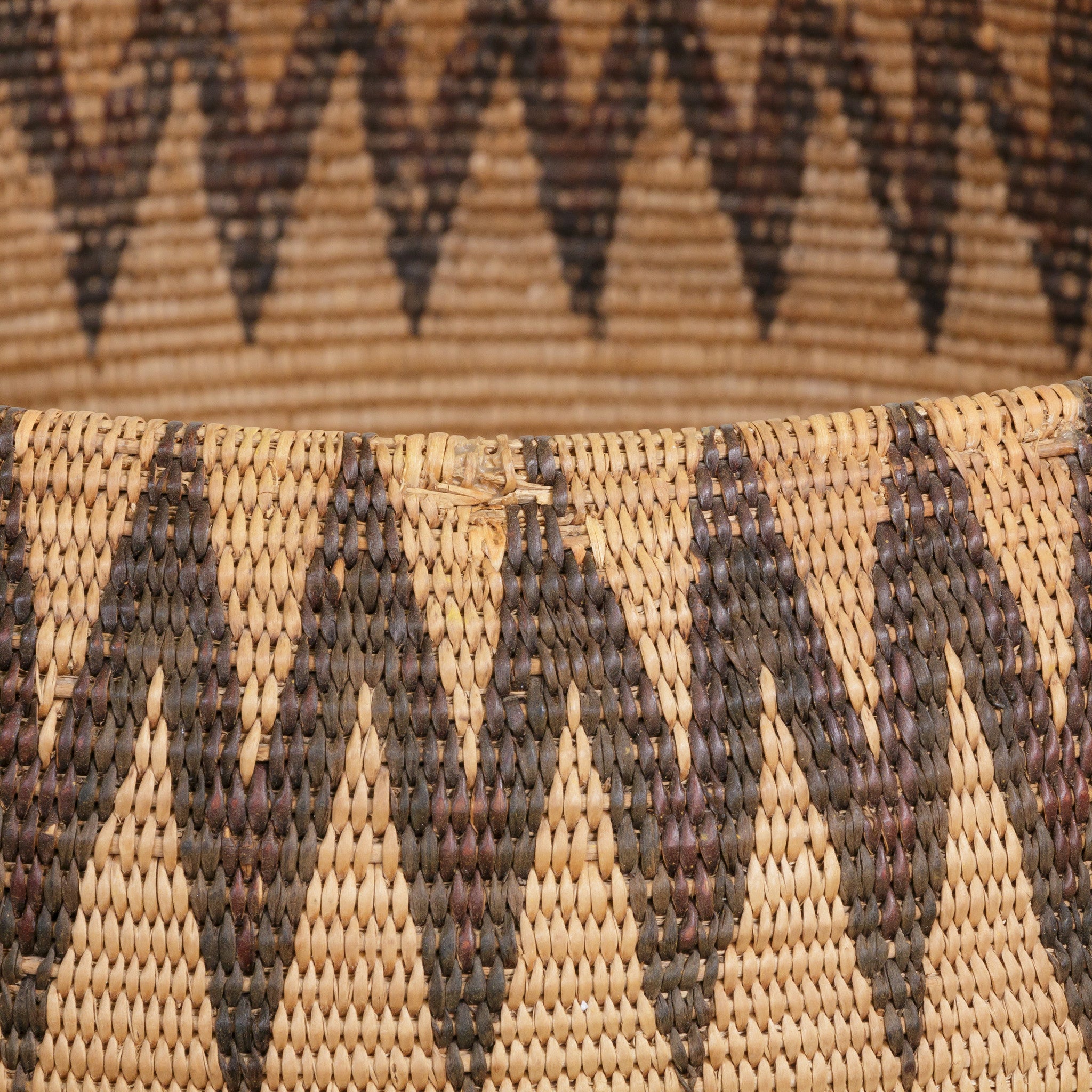 Washoe Basket