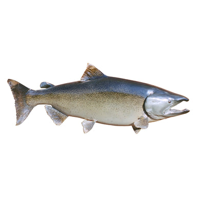 Lake Trout Mount, Furnishings, Taxidermy, Fish