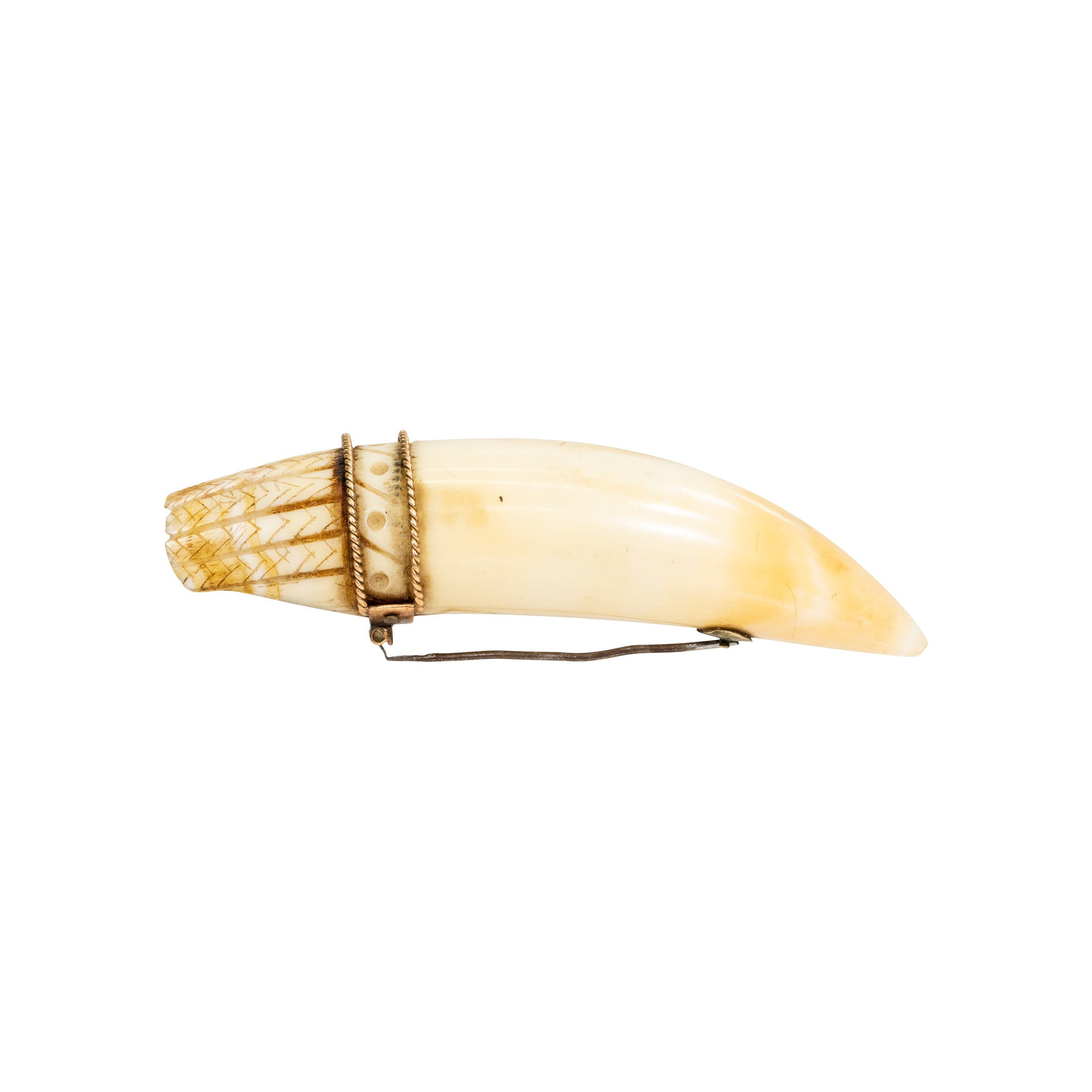 Sperm Whale Tooth Brooch