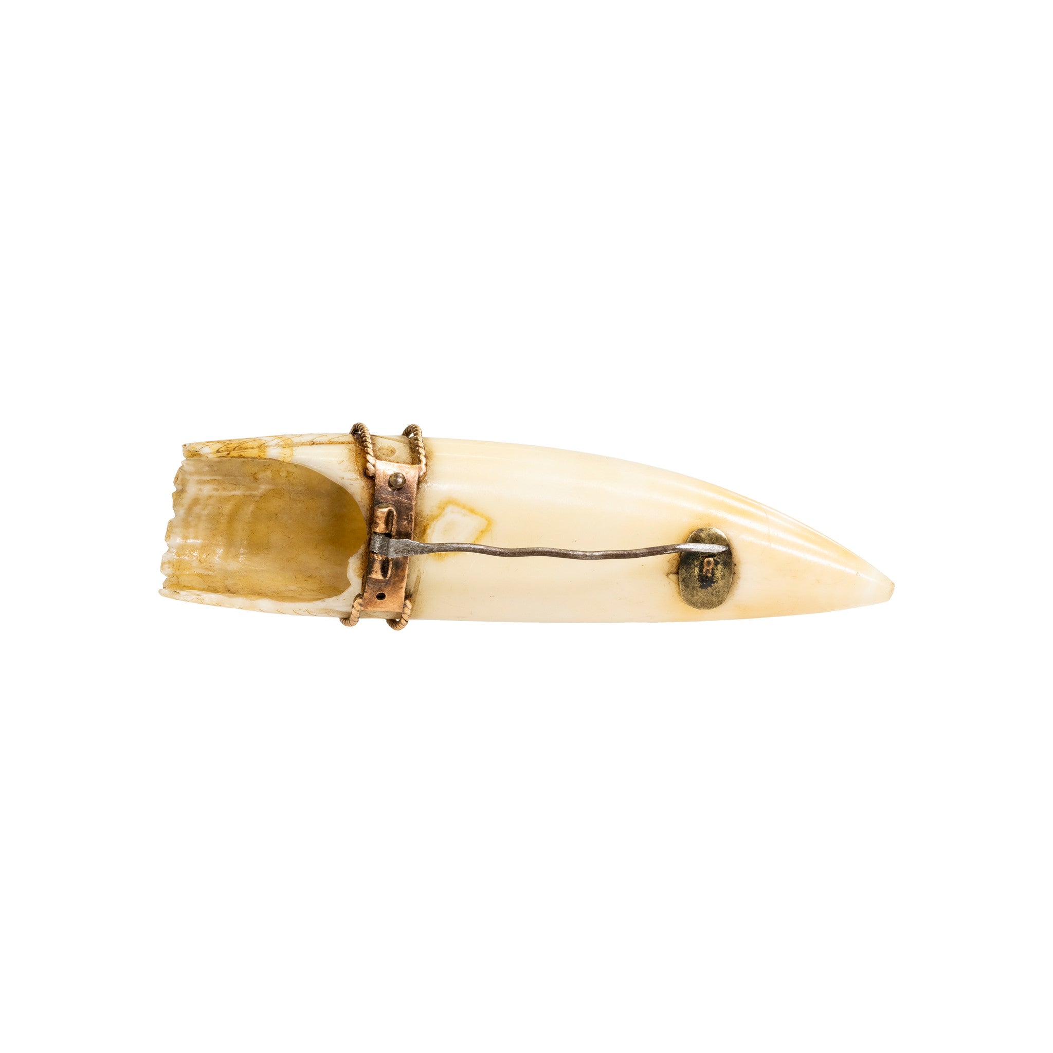 Sperm Whale Tooth Brooch