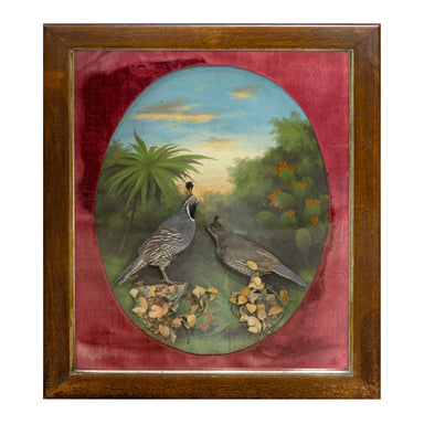California Blue Quail Diorama, Fine Art, Print, Other