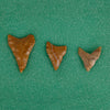 Columbia River Points, Native, Stone and Tools, Arrowhead