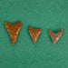Columbia River Points, Native, Stone and Tools, Arrowhead