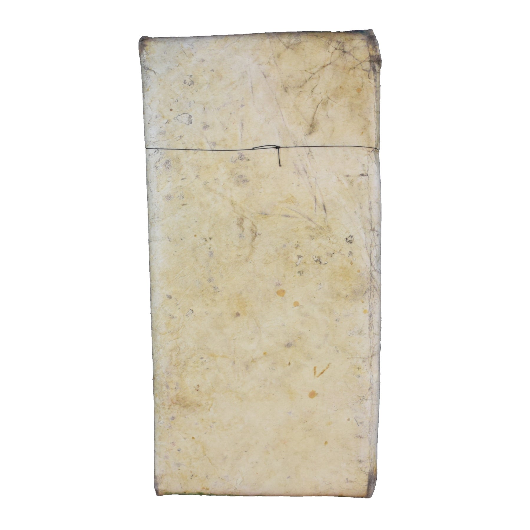 Nez Perce Parfleche Packet