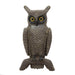Two Headed Owl, Sporting Goods, Hunting, Other