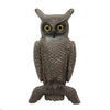 Two Headed Owl, Sporting Goods, Hunting, Other