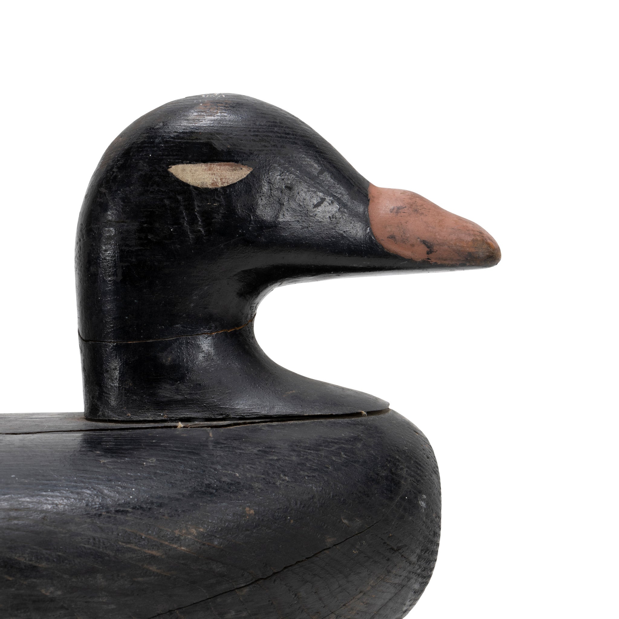 White Wing Scooter Decoy