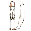 Walla Walla Prison Horsehair Bridle