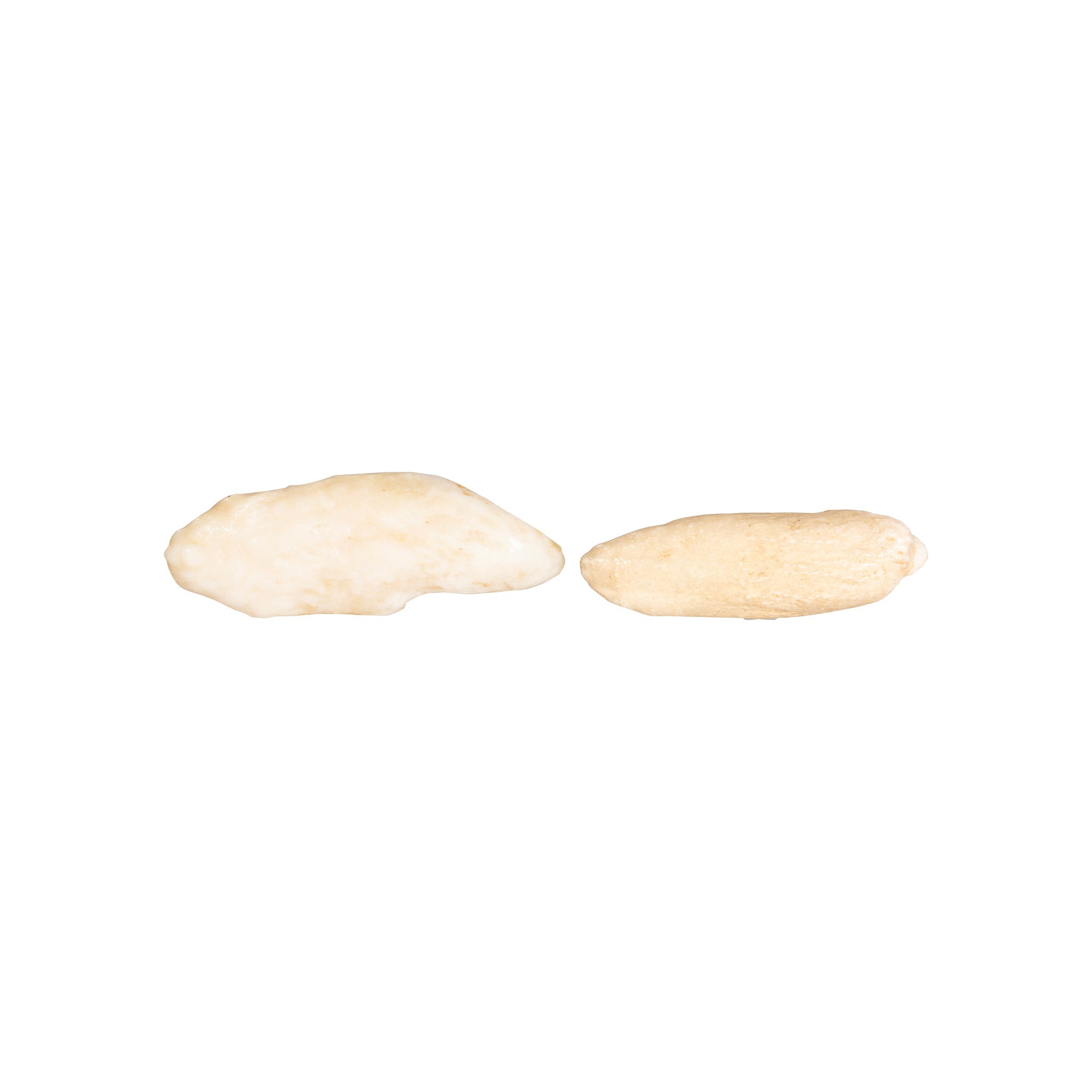 Polar Bear Teeth Charms