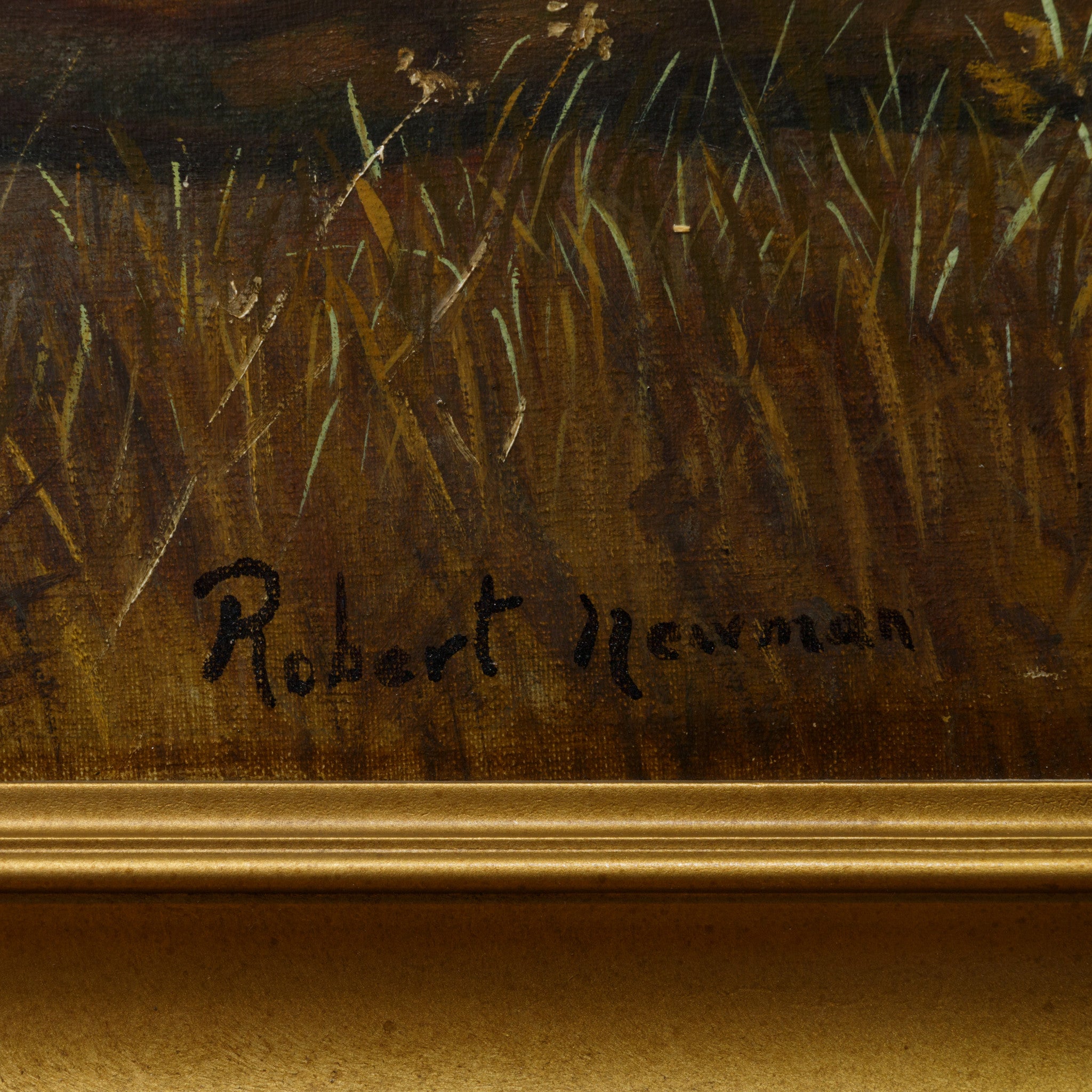 Five on Point by Robert Newman