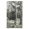Tlingit Totem Photograph