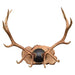 Massive Elk Antler Rack, Furnishings, Taxidermy, Elk