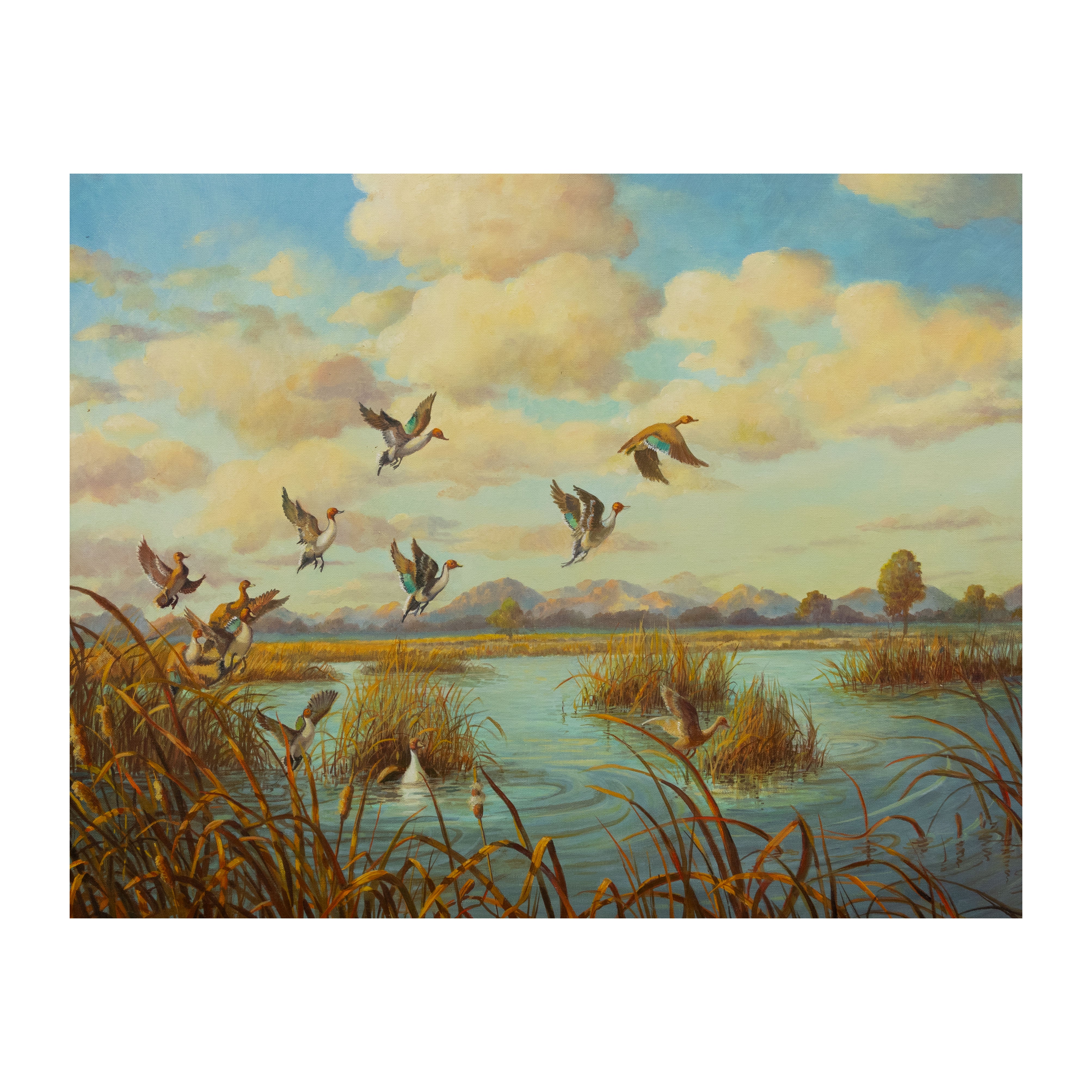 Pintails in the Marsh by Eileen Franklin, Fine Art, Painting, Wildlife