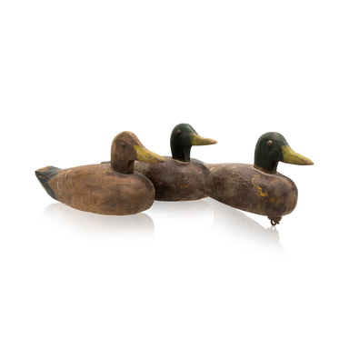 Set of Three Cree Mallard Decoys, Sporting Goods, Hunting, Waterfowl Decoy