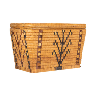 Salish Lidded Storage Basket, Native, Basketry, Vertical
