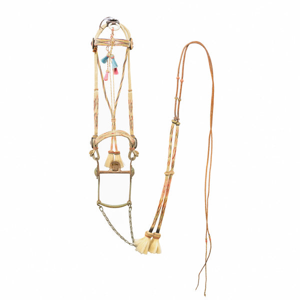Deer Lodge Prison Horse Hair Bridle, Western, Horse Gear, Bridle