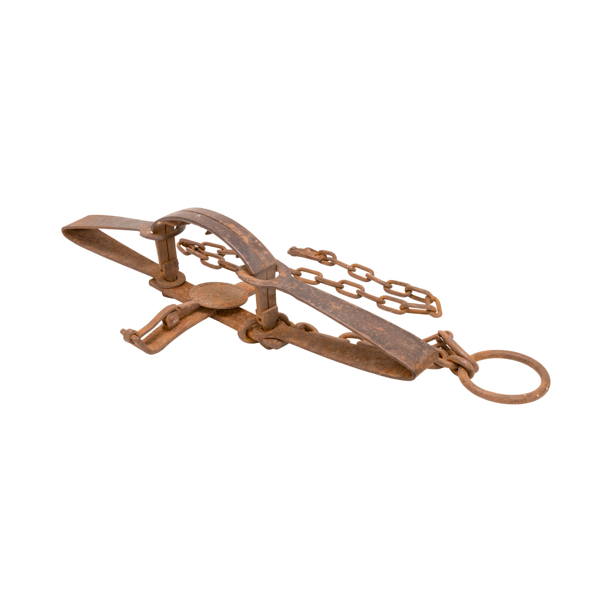 Newhouse No. 5 Bear Trap