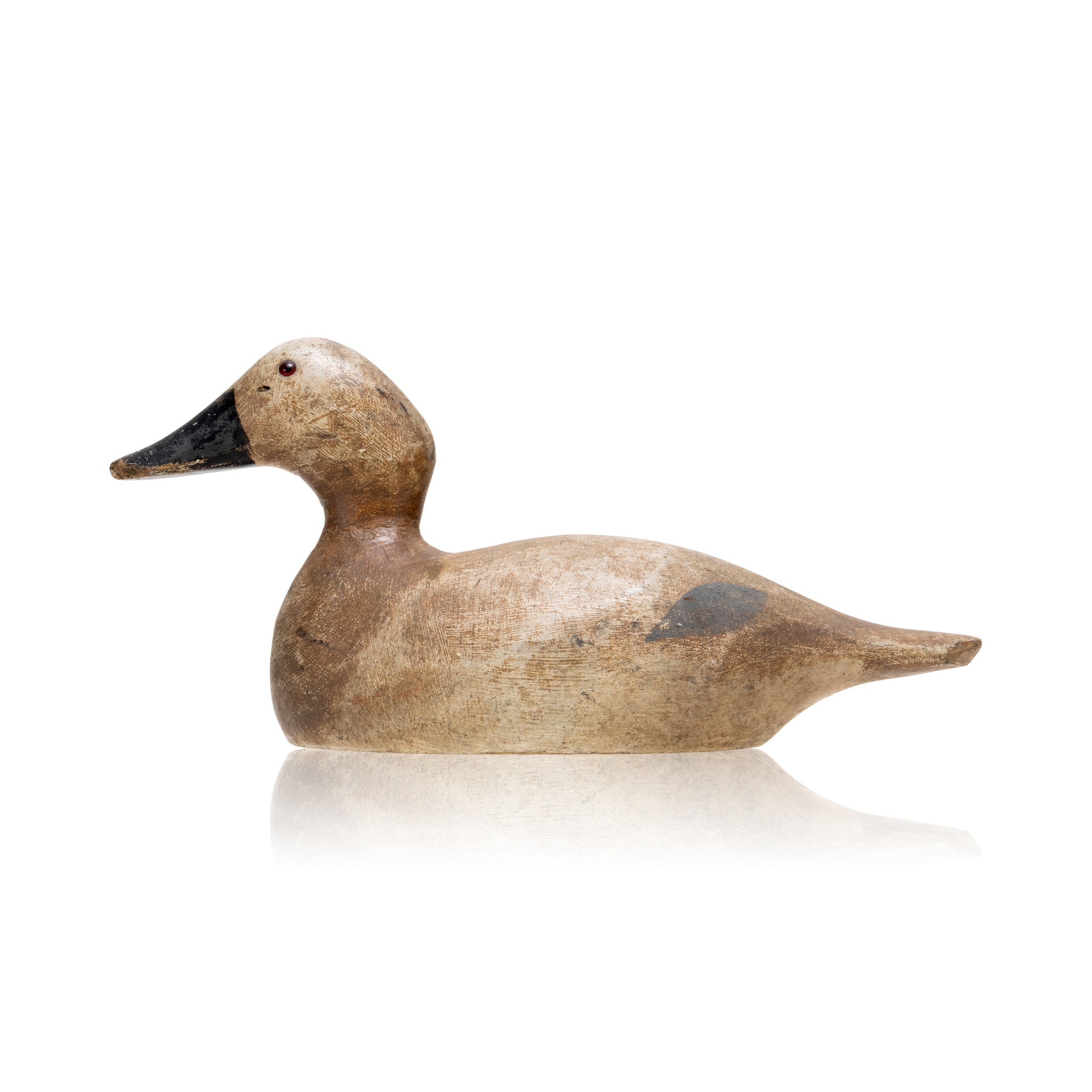 Evans Canvasback Hen Decoy, Sporting Goods, Hunting, Waterfowl Decoy