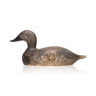 Evans Canvsback Hen Decoy, Sporting Goods, Hunting, Waterfowl Decoy