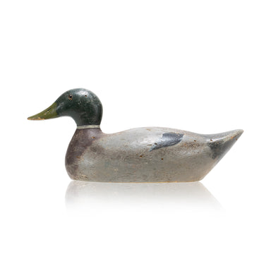 Evans Mallard Drake Decoy, Sporting Goods, Hunting, Waterfowl Decoy