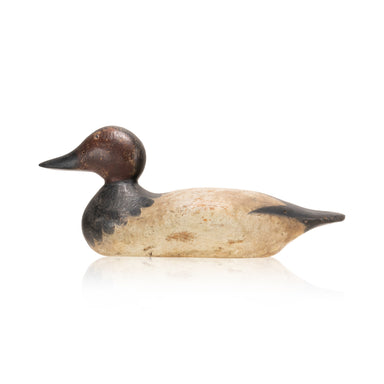 Hayes Canvasback Drake Decoy, Sporting Goods, Hunting, Waterfowl Decoy