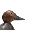 Hayes Canvasback Decoy