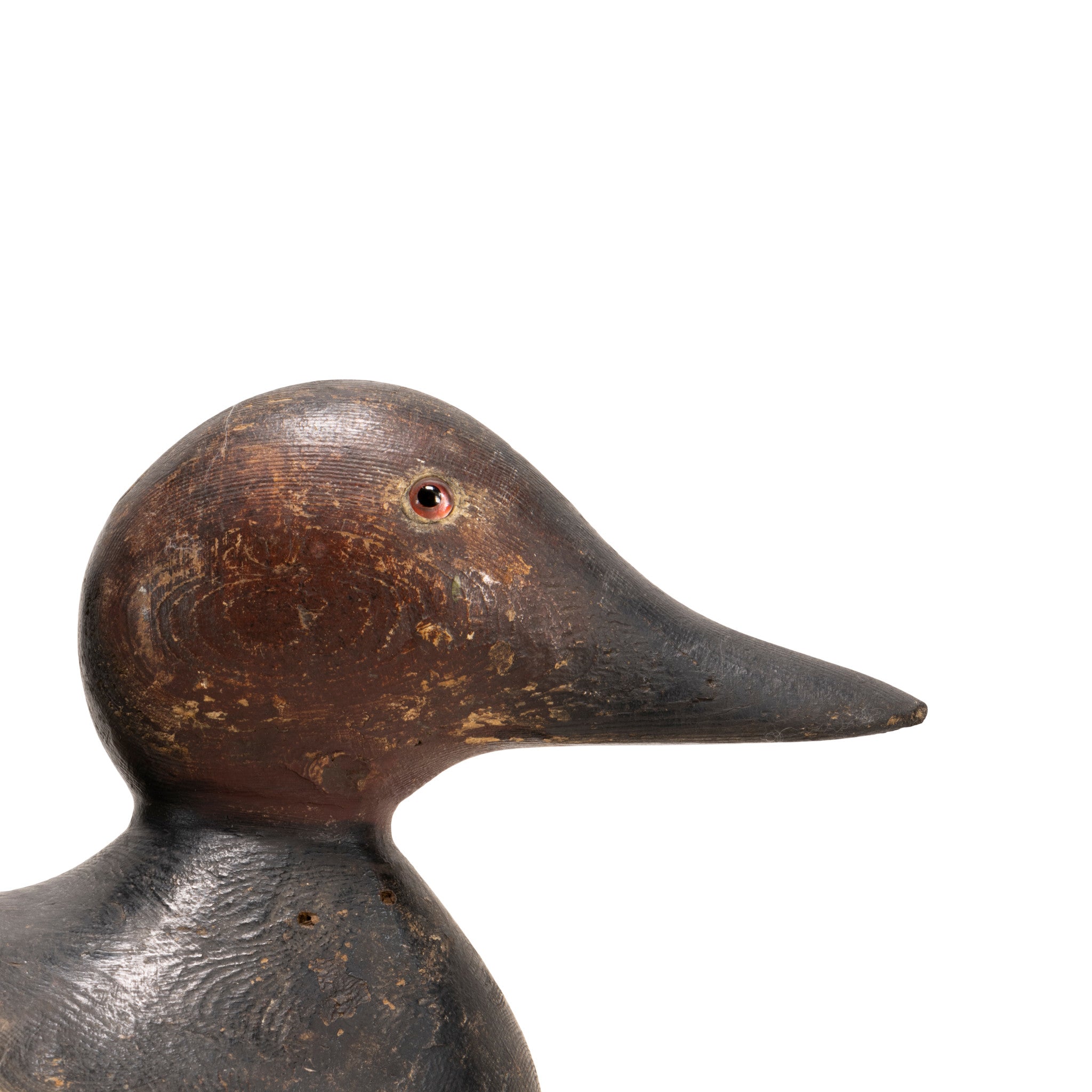 Hayes Canvasback Decoy