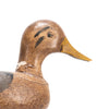 Folky Duck Decoy