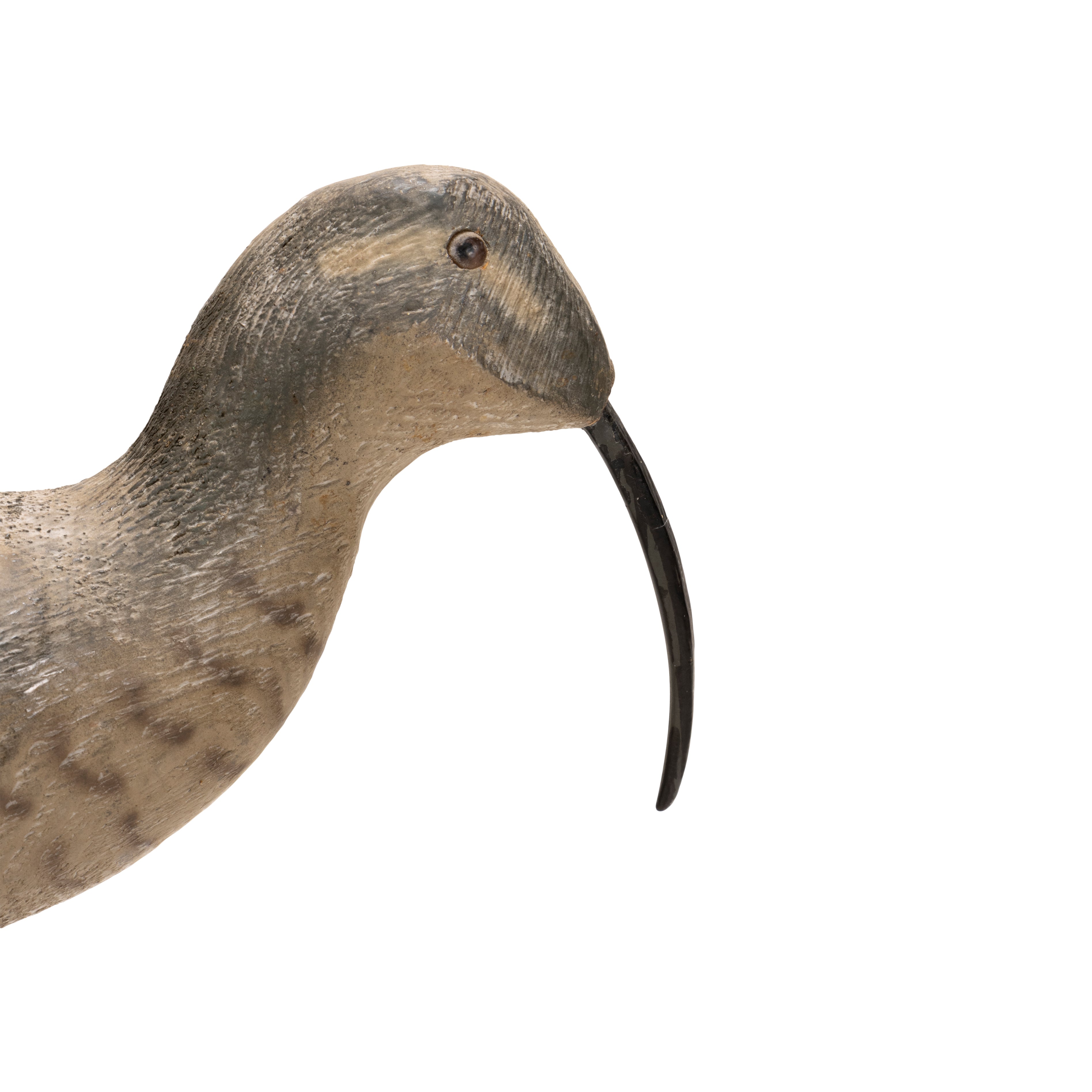 Shorebird Decoy