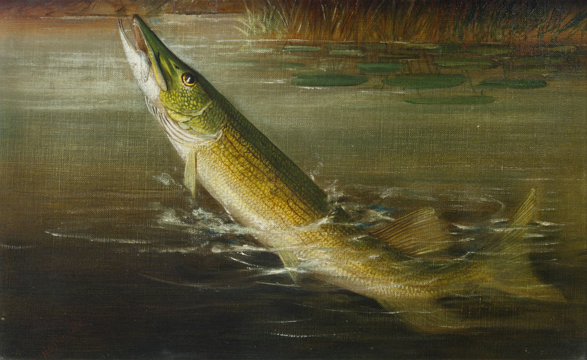 Hooked Pickerel by H.A. Driscole, Fine Art, Painting, Wildlife