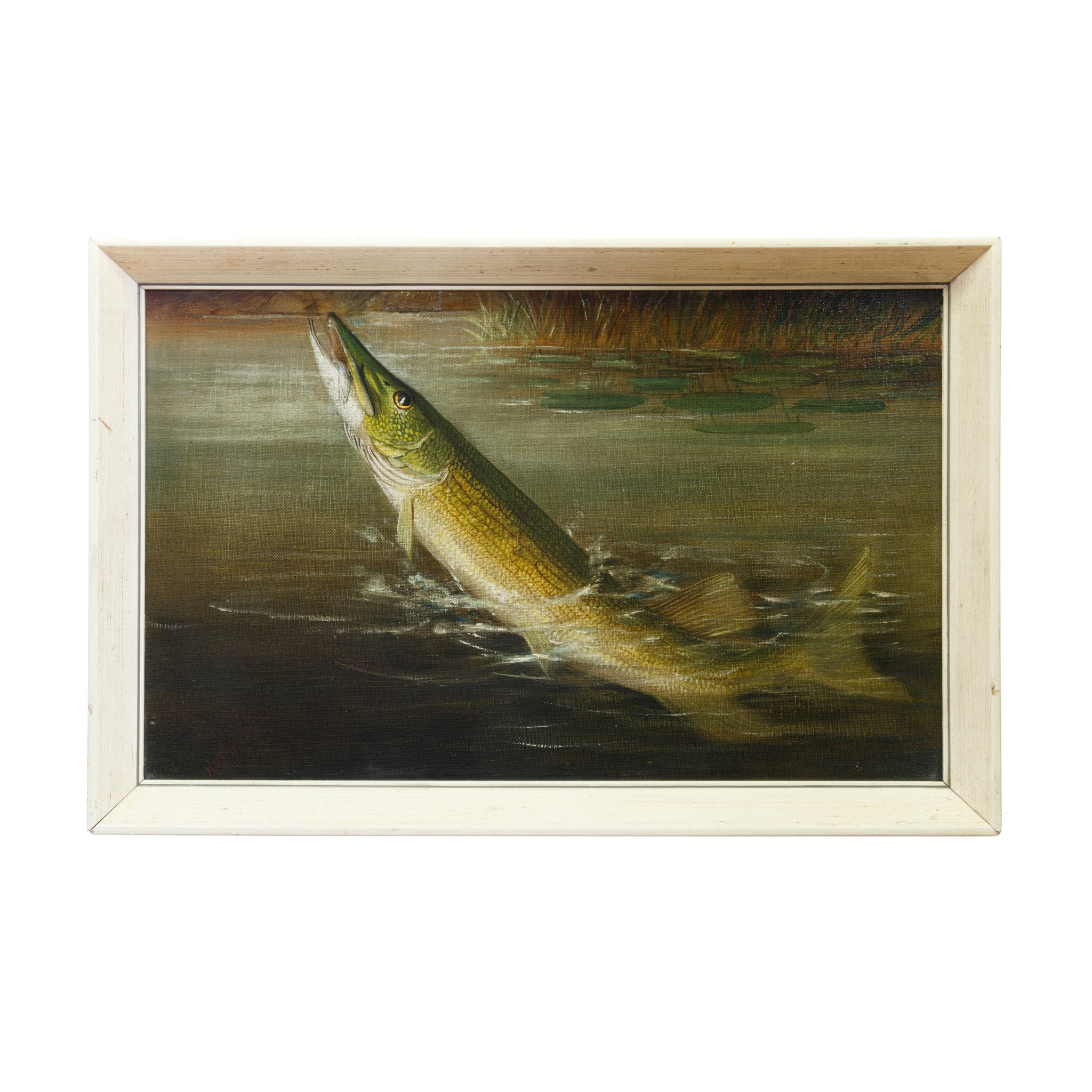 Hooked Pickerel by H.A. Driscole