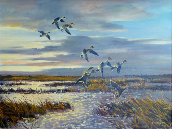 Pintails by Hugh Monahan, Fine Art, Painting, Wildlife