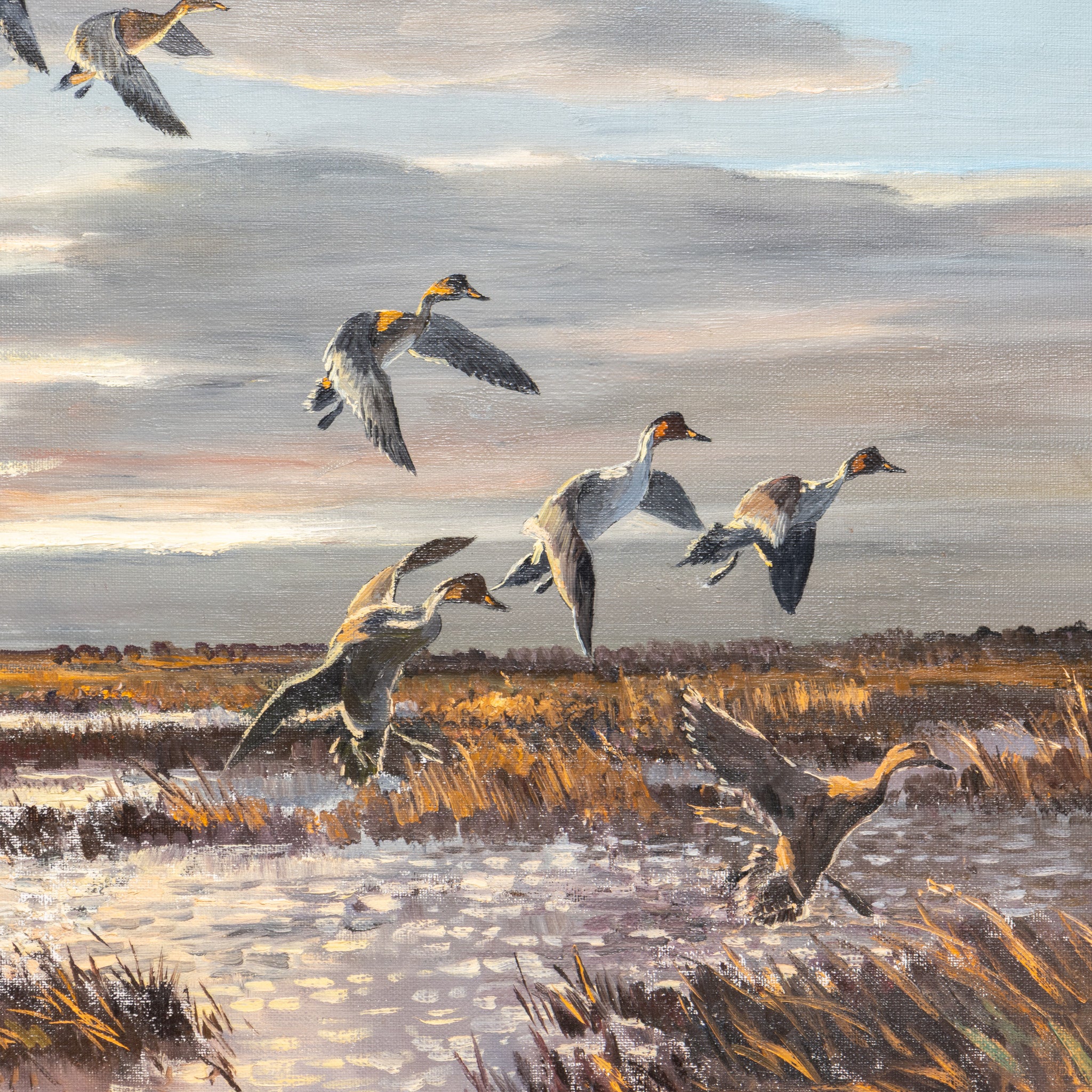 Pintails by Hugh Monahan