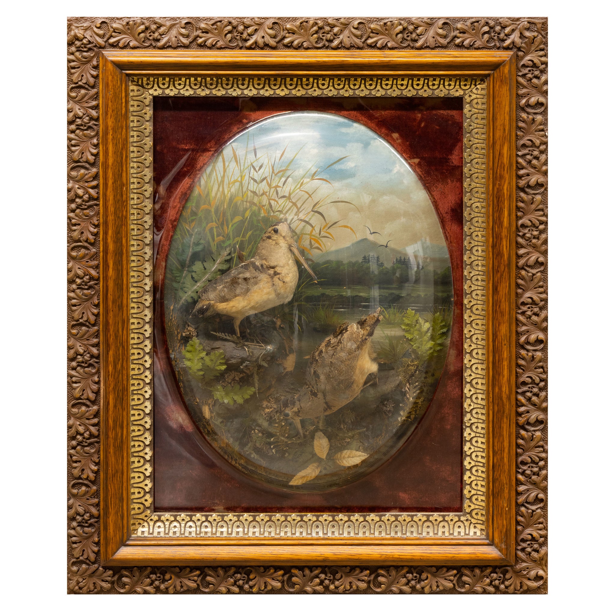 Pair of Woodcock and Bobwhite Dioramas