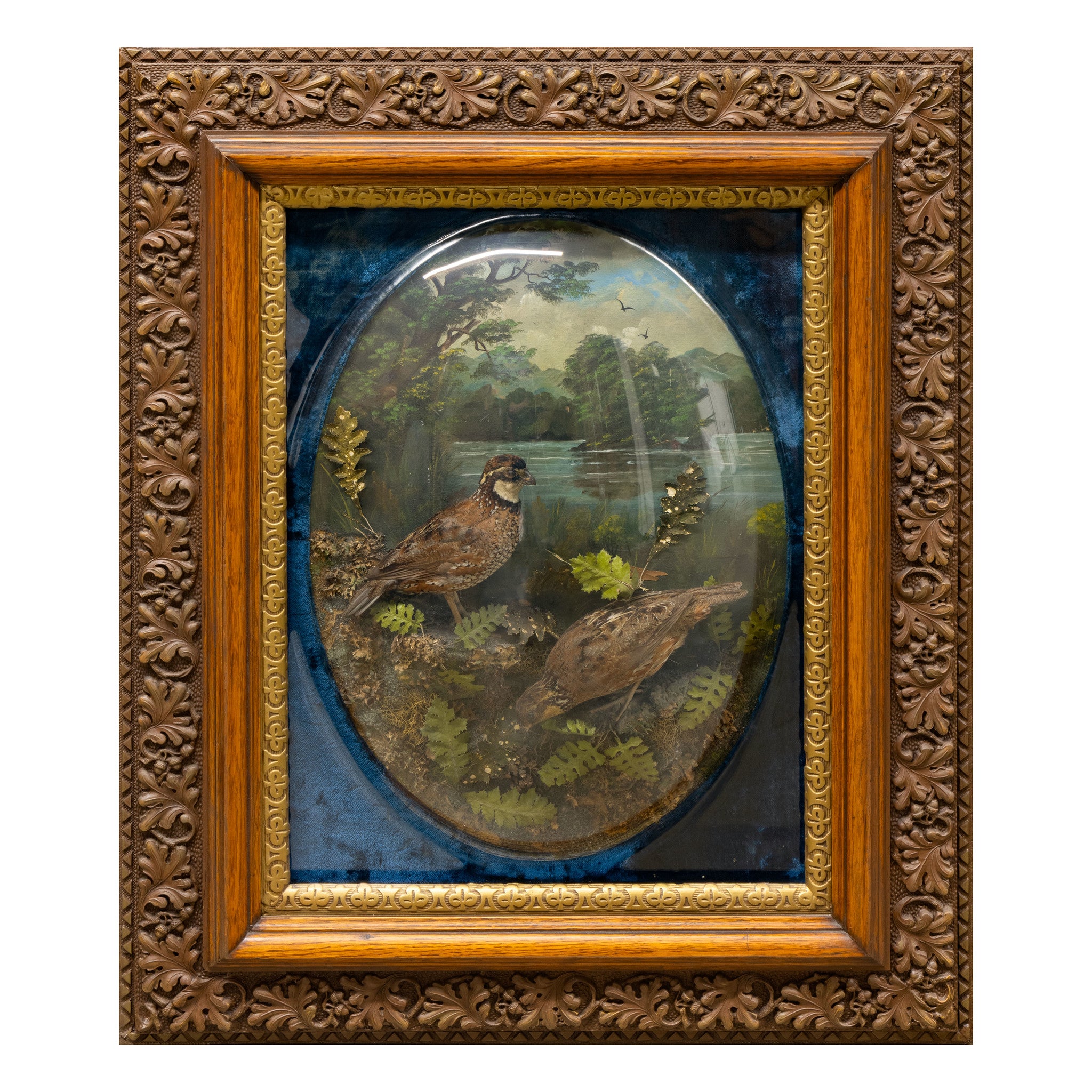 Pair of Woodcock and Bobwhite Dioramas