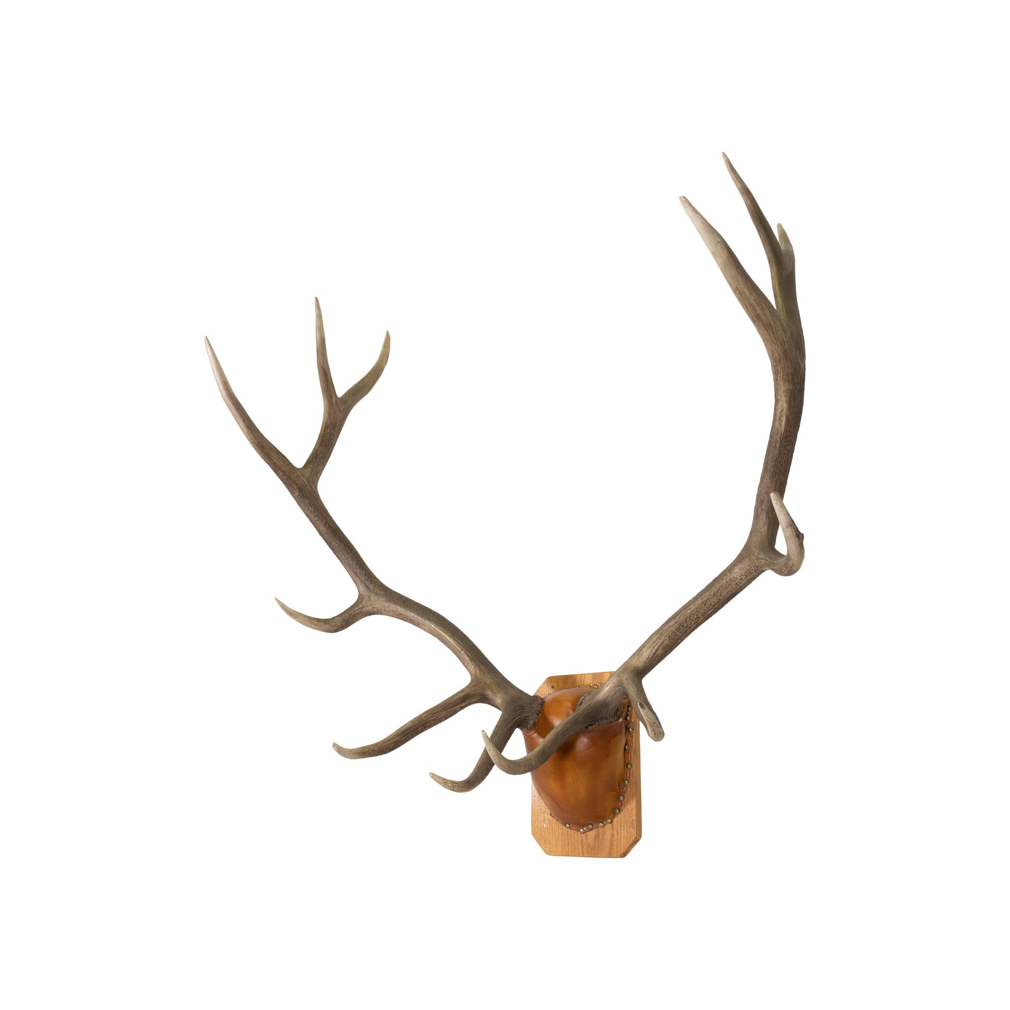 North Idaho 6 x 6 Elk Rack