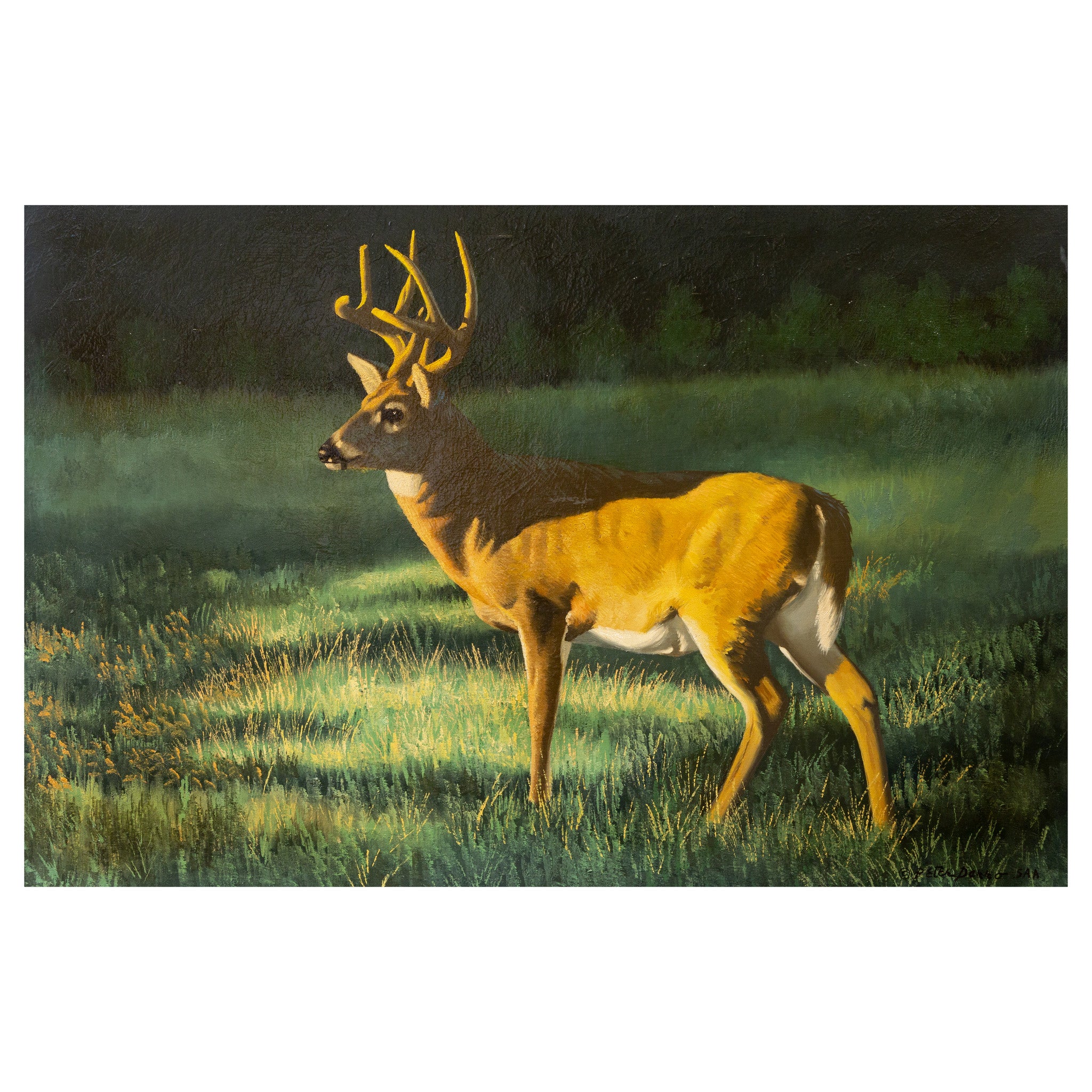 The Pursued by Peter Darro, Fine Art, Painting, Wildlife