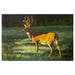 The Pursued by Peter Darro, Fine Art, Painting, Wildlife