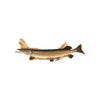 Northern Pike Skin Mount, Furnishings, Taxidermy, Fish