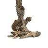 Grizzly Bear Table Lamp