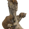 Grizzly Bear Table Lamp
