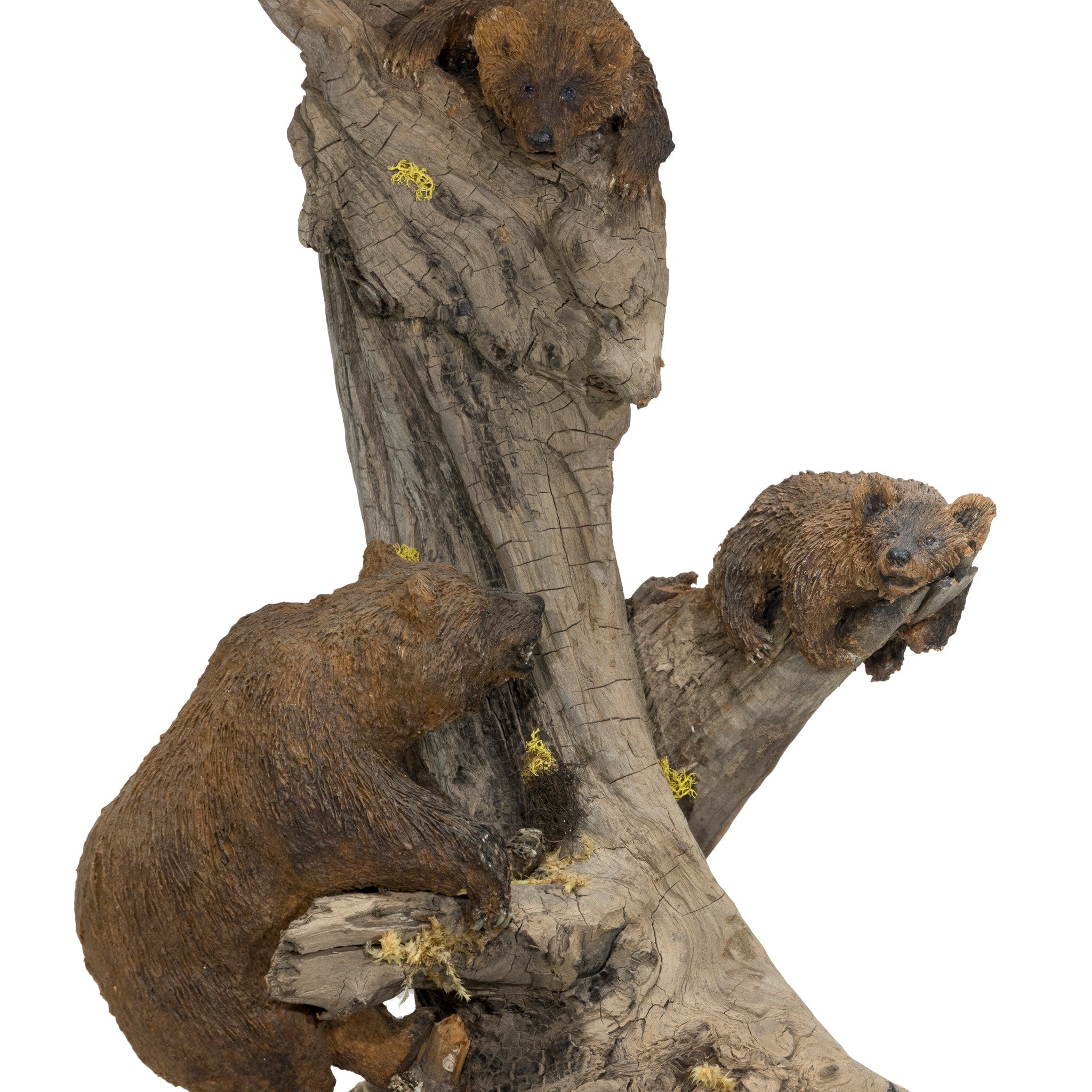 Grizzly Bear Table Lamp
