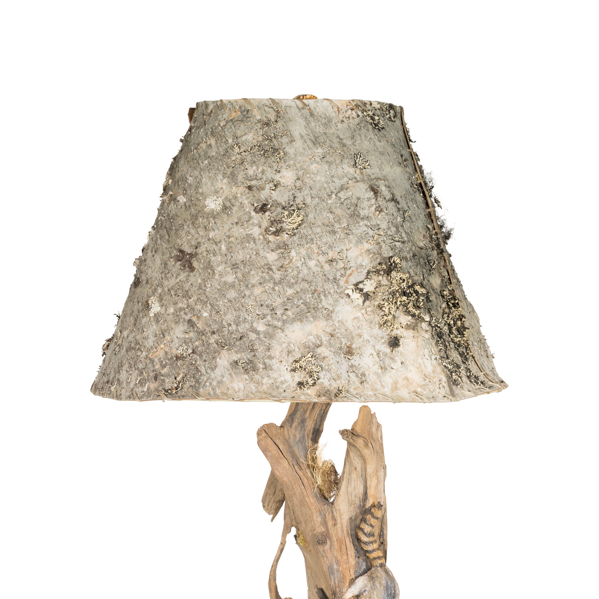 Raccoon Table Lamp