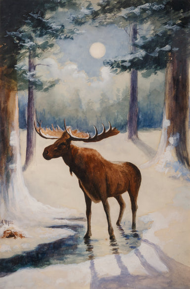 "Moonlight Moose" By A. Wyss, Fine Art, Painting, Wildlife