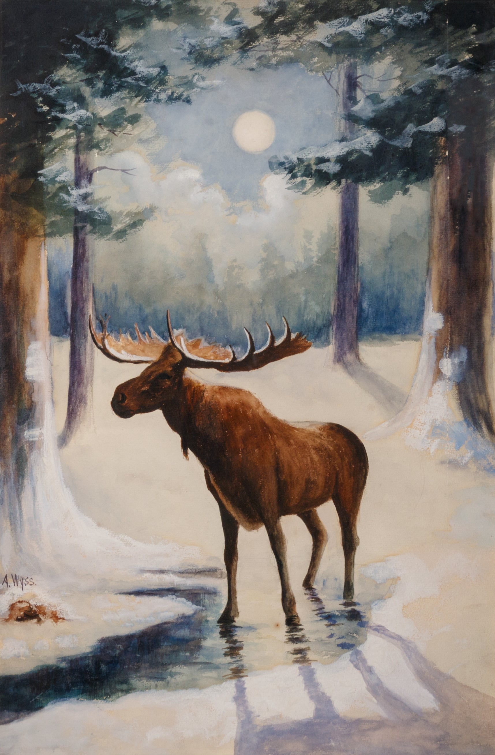 "Moonlight Moose" By A. Wyss, Fine Art, Painting, Wildlife